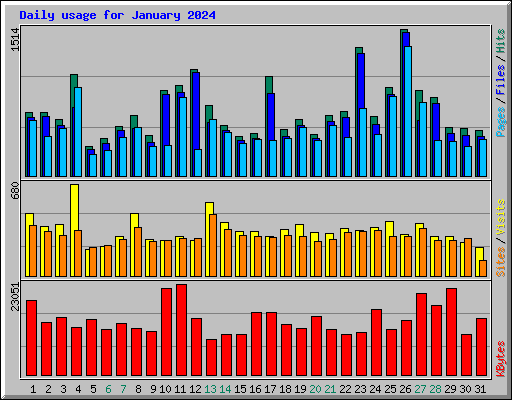 Daily usage for January 2024