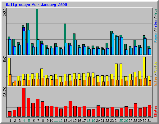 Daily usage for January 2025