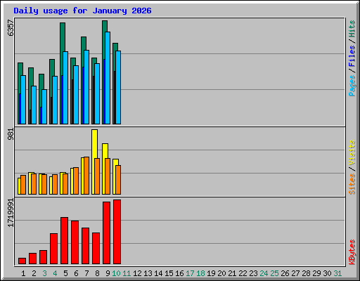 Daily usage for January 2026