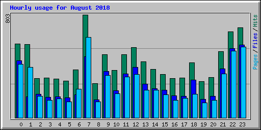 Hourly usage for August 2018