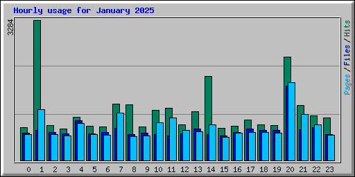 Hourly usage for January 2025