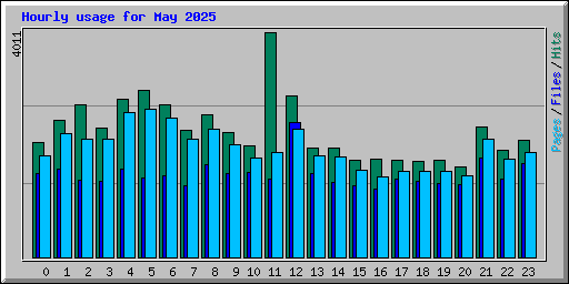 Hourly usage for May 2025