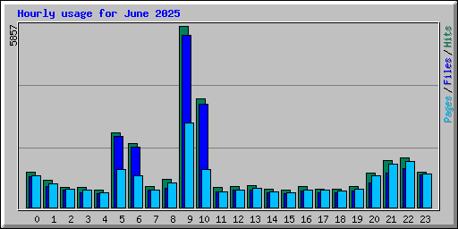 Hourly usage for June 2025
