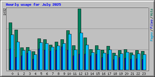 Hourly usage for July 2025