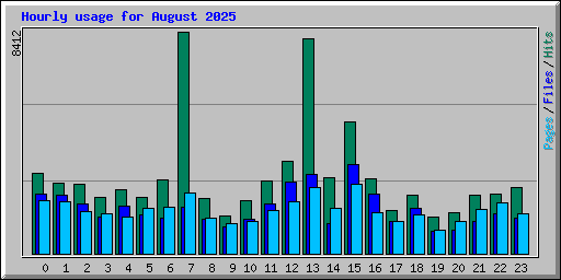 Hourly usage for August 2025
