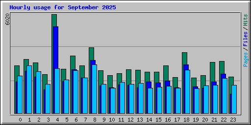Hourly usage for September 2025