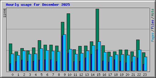 Hourly usage for December 2025