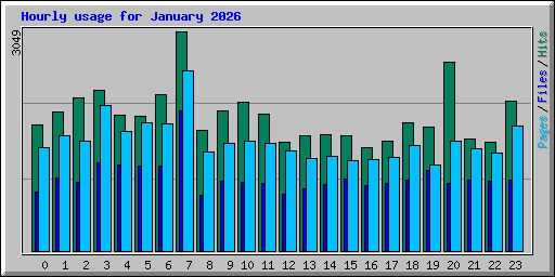 Hourly usage for January 2026