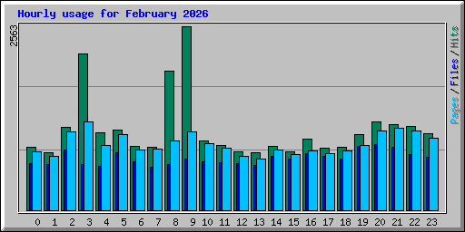 Hourly usage for February 2026