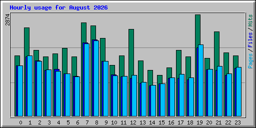 Hourly usage for August 2026